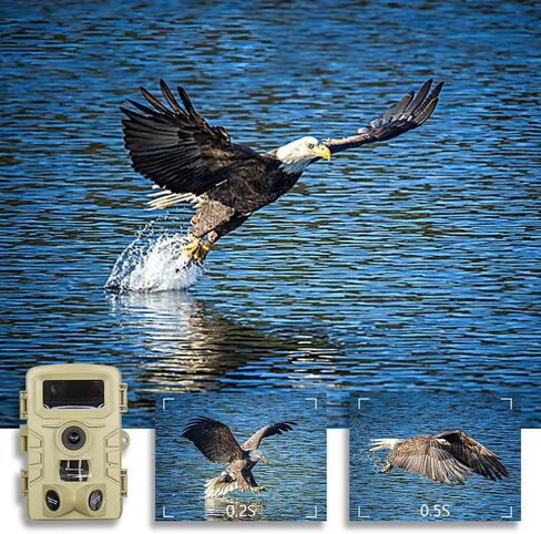 Wildlife Trail Camera, 4K IP66 Waterproof Game Camera with 120° Wide Angle PIR Detection, Outdoor Security Hunting Camera for Wildlife Monitoring in Saudi Arabia