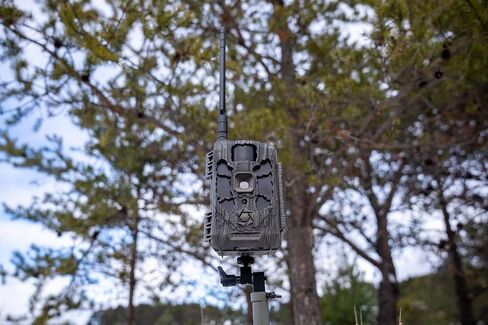 Stealth Cam Deceptor Max 2.0 / Dual Core Cellular Camera/ 40MP / 2-Pack in Saudi Arabia