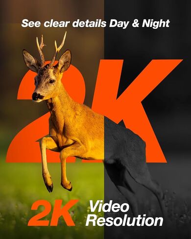 كاميرا iZEEKER Solar 4G LTE الخلوية | كاميرا ألعاب 2K PTZ مع بطاقة SD وبطاقة SIM، رؤية كاملة 360 درجة ورؤية ليلية، بث مباشر والوصول إلى الهاتف عن بعد، كاميرا لاسلكية، بدون توهج بالأشعة تحت الحمراء، IP65 مقاومة للماء in Saudi Arabia