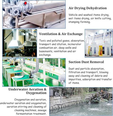 Dual-Function Vortex Blower,Bidirectional Airflow for Fish Farm Oxygenation & Dust Removal,Aerospace Aluminum for Pond,Workshop, Industrial Use (380v/850w) in Saudi Arabia