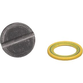 Quicksilver 79953Q04 Lower Unit Gear Lube Drain and Fill Hole Screw and Seal
