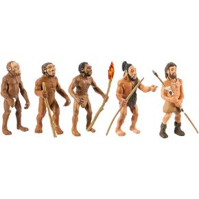 Safari Ltd. Evolution of Man Set - Detailed Educational Human Evolution Toy Figurines - Realistic Human Development Stages Collection for Boys, Girls & Kids Age 4+