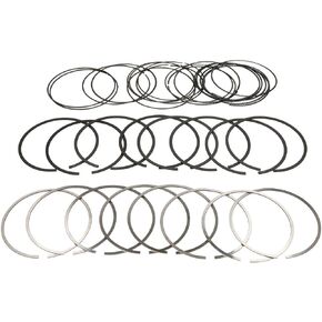 DNJ PR1169 Piston Rings for 2011-2016/Chrysler, Dodge, Jeep, Ram/1500, 200, 300, Avenger, C/V, Challenger, Charger, Durango, Grand Caravan, Grand Cherokee, Journey, ProMaster