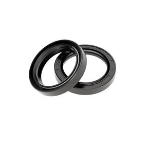 Oil Seal, TC 30 mm x 42 mm x 7 mm Oil Seal O Ring Nitrile Rubber Cover Lips and Spring Bearing axis （ Pack of 2）