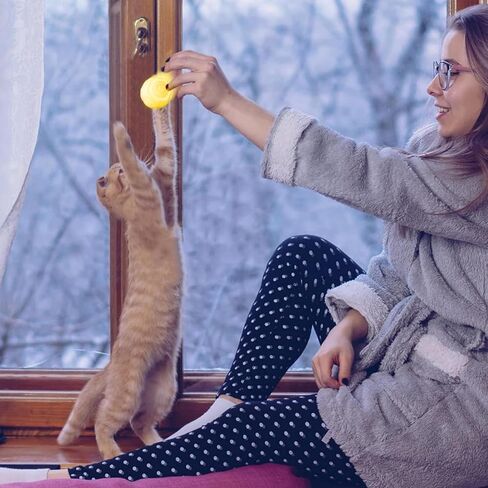 ألعاب تفاعلية للقطط، لعبة كرة الطاقة 2.0 للقطط، كرة ذكية متدحرجة مع مقص أظافر للقطط البالغة التي تشعر بالملل في الأماكن المغلقة، ألعاب القطط الأوتوماتيكية القابلة لإعادة الشحن عبر USB، لعبة كرة متحركة للقطط/الهريرة in Kuwait