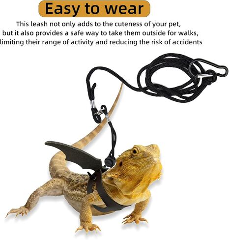 6 Pack Bearded Dragon Lizard Leash Harness | Bearded Dragon Accessories for Habitat| Bearded Dragon Leash| Adjustable Dinosaur Wing Lizard Leather Wings Leash (S, M, L, 3 Pack) Each Gold and Silver in Kuwait