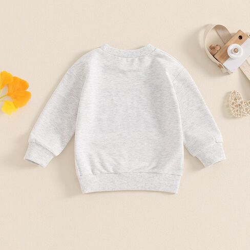 Toddler Baby Girl Boy Sweatshirt Big Sister Big Brother Matching Outfits Kids Oversized Pullover Fall Clothes in Saudi Arabia