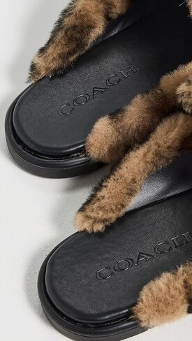 Coach Women's Slipper in Signature Shearling in Saudi Arabia