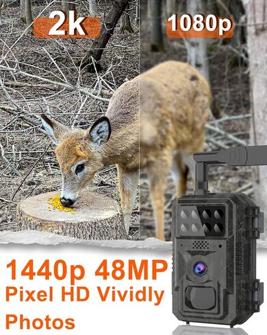 كاميرا Vatony 4G الخلوية - مع زاوية عريضة 2K 48 ميجابكسل 120 درجة، رؤية ليلية تصل إلى 100 قدم، كاميرا صيد تعمل بالطاقة الشمسية مع تخزين SD، مقاومة للماء IP68، كاميرا للحياة البرية تعمل بالحركة in Kuwait