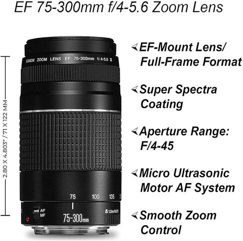 Canon EOS 4000D / Rebel T100 DSLR Camera 18-55mm & 75-300mm Lens + ZeeTech Accessory Bundle with 2 Pack SanDisk 128GB Memory Card, Case, Tripod and Telephoto & Wideangle Lenses Kit (Renewed) in Saudi Arabia