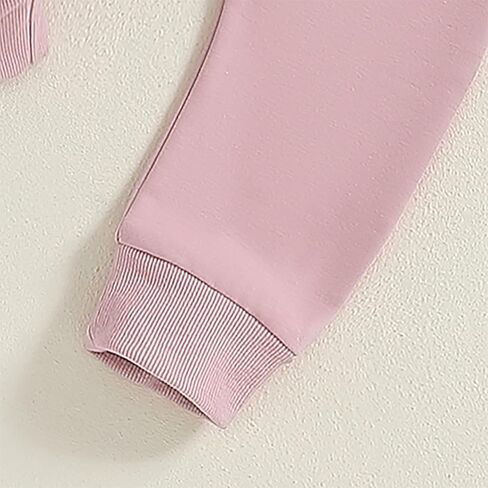 WZTYYDS Infant Baby Girl Fall First Birthday Outfit 1st Birthday Clothes Long Sleeve Sweatshirt Tops Elastic Waist Pants in Saudi Arabia