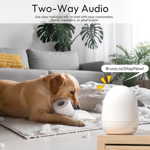 Rraycom Indoor Camera 5G&2.4G,2K Pan/Tilt Security Camera for Baby Monitor w/Cry Detection, Dog Camera w/Motion Detection, Human/Pet Auto Tracking,2-Way Audio, Night Vision,Siren,Works w/Alexa in Kuwait