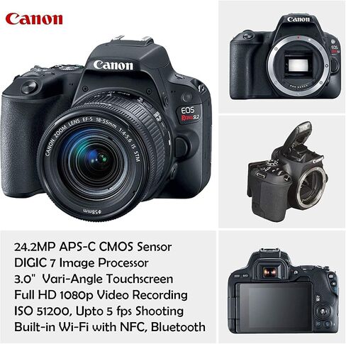 كاميرا Canon EOS Rebel SL2 DSLR مع Canon 18-55mm هي مجموعة عدسات STM + حقيبة Canon + ذاكرة 64 جيجابايت + فلاتر + وحدات ماكرو + Monopod + حامل ثلاثي القوائم مقاس 50 بوصة + حزمة DSLR احترافية (متجددة) in Saudi Arabia