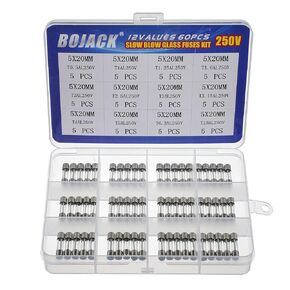 BOJACK 12 Values 60 pcs Slow Blow Glass Fuses Assortment Kit 5x20mm 250V T0.5A 1A 1.25A 1.6A 2A 2.5A 3A 3.15A 4A 5A 6.3A 10A packag in a Clear Plastic Box