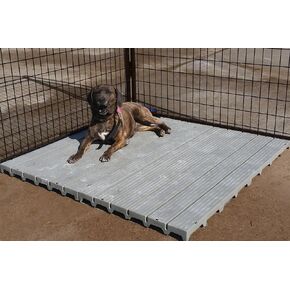 Single Large 2' X 4' Raised Dog Kennel Run Flooring Panel