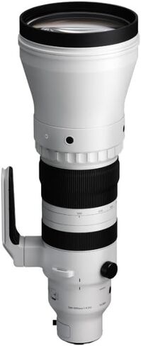 300-600mm F4 DG OS | Sports in Saudi Arabia