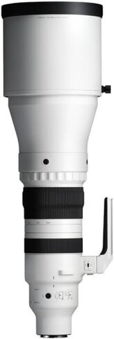 300-600mm F4 DG OS | Sports in Saudi Arabia