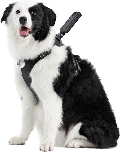 Insta360 CINSBAVZ Accessory Pet Harness Mount - Large Black in Saudi Arabia