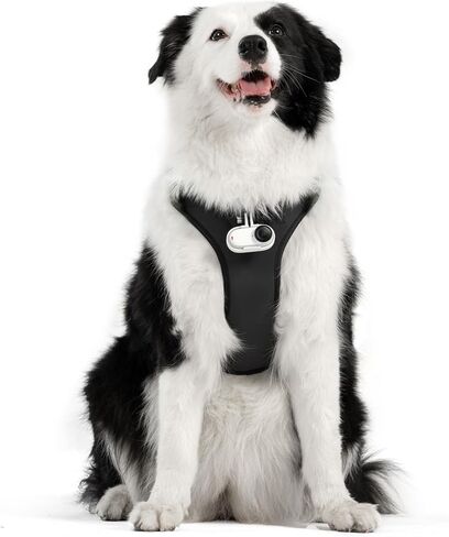 Insta360 CINSBAVZ Accessory Pet Harness Mount - Large Black in Saudi Arabia