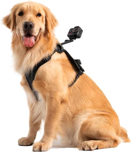 Insta360 CINSBAVZ Accessory Pet Harness Mount - Large Black in Saudi Arabia
