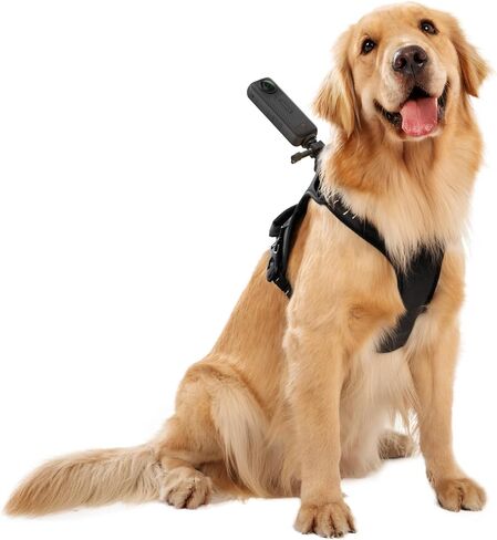 Insta360 CINSBAVZ Accessory Pet Harness Mount - Large Black in Saudi Arabia
