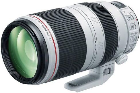 Canon EF 100-400mm f/4.5-5.6L is II USM Lens |L-Series Telephoto Zoom with Image Stabilization & Fast Autofocus |Ideal for Sports, Wildlife & Travel(9524B002) + Extender EF 1.4X III + Bag + 64GB Card in Saudi Arabia