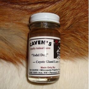 Cavens Yodel Dog"Coyote Gland Lure" 1 oz.