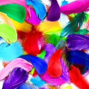 Tigeen 3000 Pcs Craft Feathers Bulk Colorful Feathers for Crafts 3-5 in Decoration Feathers for Table Centerpiece Rainbow Craft Feather Mardi Gras Supply for Wedding Mask Carnival Party Decoration