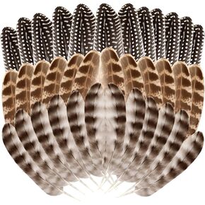 36Pcs Natural Turkey Spotted Feathers, 5-8 Inch Craft Feathers 3 Style Mixed Pheasant Feathers for Crafts DIY Hat Floral Arrangements Wing Quill Wedding Home Party Decorations