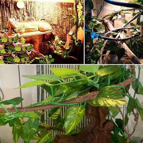 Hamiledyi سحلية تسلق الغابة فاينز 9.8FT أوراق الزواحف المرنة مع أكواب الشفط خزان الزواحف ديكور الموائل لأبو بريص والثعابين والحرباء والتنين الملتحي in Saudi Arabia