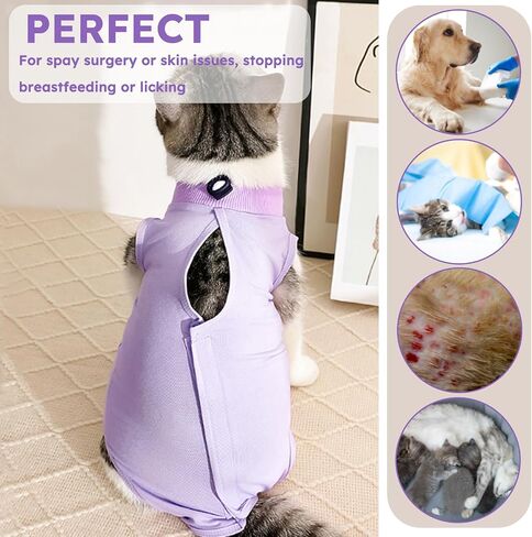 Hpetppy Cat Recovery Suit for Abdominal Wounds or Skin Diseases,Kitten Onesie for Cats After Surgery Wear Surgical Spay Suit for Female Cats Kitten Cone of Shame Alternative-Purple(S) in Kuwait
