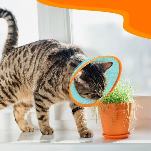 Soft Cat Recovery Collar, Adjustable Cat Cone Collar for Cat Kitten Prevent from Licking Wounds, Mesh Recovery Elizabethan Collar for Cats, Kittens, Rabbits in Kuwait