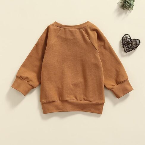 Toddler Baby Girl Boys Pullover Top Letter Babe Printed Causal Long Sleeve Sweatshirt Infant Fall Winter Clothes in Saudi Arabia