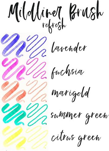 Zebra Pen Zebra Brush DBL END ASST Color, 30 Count (Pack of 6), Assorted Refresh in Saudi Arabia