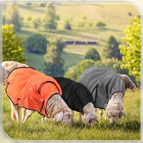 3 قطع من بطانيات الأغنام الرائعة من Tranqun، غطاء شبكي متوسط ​​الماعز مع مؤخرة شبكية وحزام بطن قابل للتعديل، حامل الأغنام لعرض الحملان يناسب الحملان 110-140 رطل، مما يحافظ على نظافة الحيوان، بارد، 3 ألوان in Kuwait