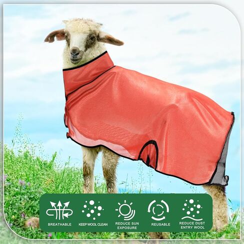 3 قطع من بطانيات الأغنام الرائعة من Tranqun، غطاء شبكي متوسط ​​الماعز مع مؤخرة شبكية وحزام بطن قابل للتعديل، حامل الأغنام لعرض الحملان يناسب الحملان 110-140 رطل، مما يحافظ على نظافة الحيوان، بارد، 3 ألوان in Kuwait