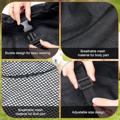 3 قطع من بطانيات الأغنام الرائعة من Tranqun، غطاء شبكي متوسط ​​الماعز مع مؤخرة شبكية وحزام بطن قابل للتعديل، حامل الأغنام لعرض الحملان يناسب الحملان 110-140 رطل، مما يحافظ على نظافة الحيوان، بارد، 3 ألوان in Kuwait