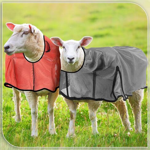 3 قطع من بطانيات الأغنام الرائعة من Tranqun، غطاء شبكي متوسط ​​الماعز مع مؤخرة شبكية وحزام بطن قابل للتعديل، حامل الأغنام لعرض الحملان يناسب الحملان 110-140 رطل، مما يحافظ على نظافة الحيوان، بارد، 3 ألوان in Kuwait