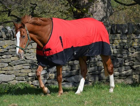 600d Lightweight Waterproof Horse Turnout Rug 100g Fill Standard Neck (84") in Kuwait