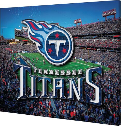 FOCO NFL unisex-adult NFL Team Logo Canvas Wall Sign in Saudi Arabia