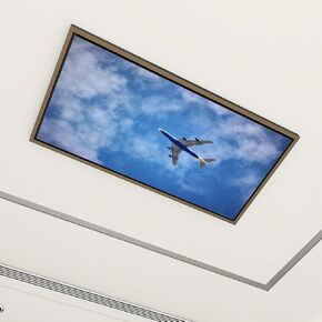 6 Pack Fluorescent Light Covers for Ceiling Lights Green Sea Turtle Hawaii Decorative Magnetic Fluorescent Light Filters for Classroom Office Home 4x2 ft in Kuwait