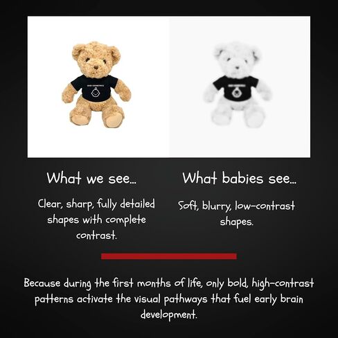 High-Contrast Security Blanket – Soft Plush Lovey for Newborns & Infants – Black, White & Red Sensory Comfort Blanket with Rattle Sound (Spot The Pup) in Saudi Arabia