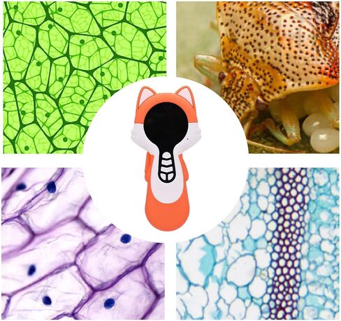 Dpofirs Magnifying Glass Portable Handheld Digital Microscope Camera, 200x Magnification Autofocus Magnifier, Microscope for Kids Adults in Saudi Arabia
