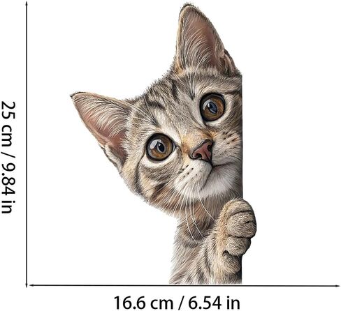 ملصق باب على شكل قطة - ملصق فينيل مضحك قابل للإزالة للباب والنافذة الزجاجية، فن جداري لطيف لخصوصية الحيوانات، ديكور منزلي مقاوم للماء للمنزل، الشقة Z-115 in Kuwait