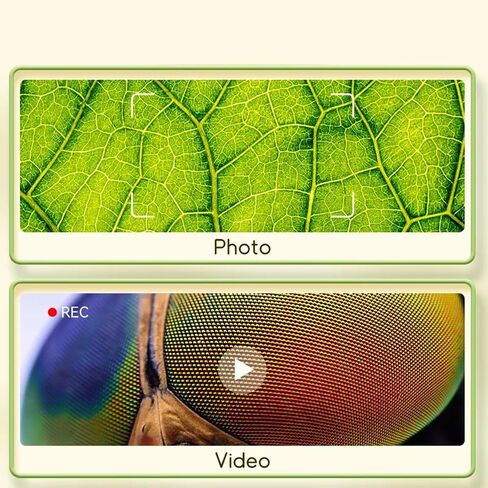 MODBOX: مجهر LCD Discovery - أداة مراقبة محمولة، شاشة 2.5 بوصة، تكبير رقمي، تخزين الصور والفيديو، استكشاف الطبيعة، STEM Kid 6+ in Saudi Arabia