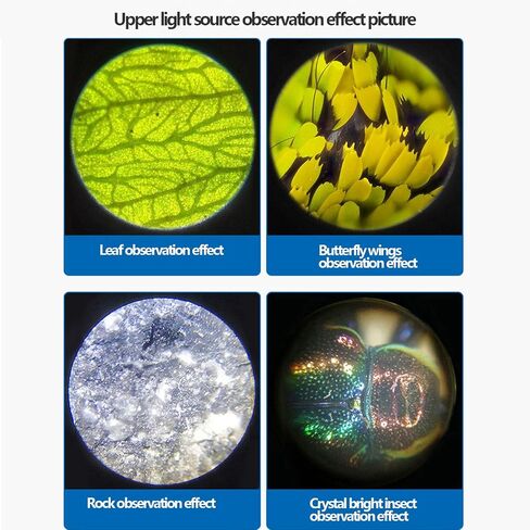 Beginner Microscope 40x-1600x Biological Microscope Eyepiece (10x/20x) Objective Lens (4X 10x 40x) LED up and Down Light Source 45° tilt monocular Lens Battery Powered 15x10x28cm in Saudi Arabia