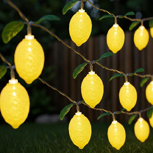2 قطعة Sukkot 3D Etrog LED سلسلة أضواء تعمل بالبطارية سلسلة ضوء 19.68ft 40leds Etrog مصابيح كهربائية مع فروع أوراق أضواء خرافية Sukkot ديكورات لزينة حفلات حديقة Sukkah in Kuwait