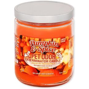 0 Candle Pumpkin Spice