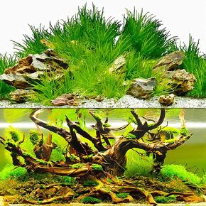 Aquarium Background Sticker, Double-Sided Removable Wallpaper Decorative Backdrop Décor for Fish Tank (21'' x 12'')