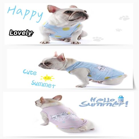 Dog Shirts Pet Printed Clothes Cute Summer Cooling Coat T-Shirts Cool Puppy Shirts Soft Dog Sweatshirt for Pet Dogs Cats Outdoor (Medium,Blue) in Saudi Arabia